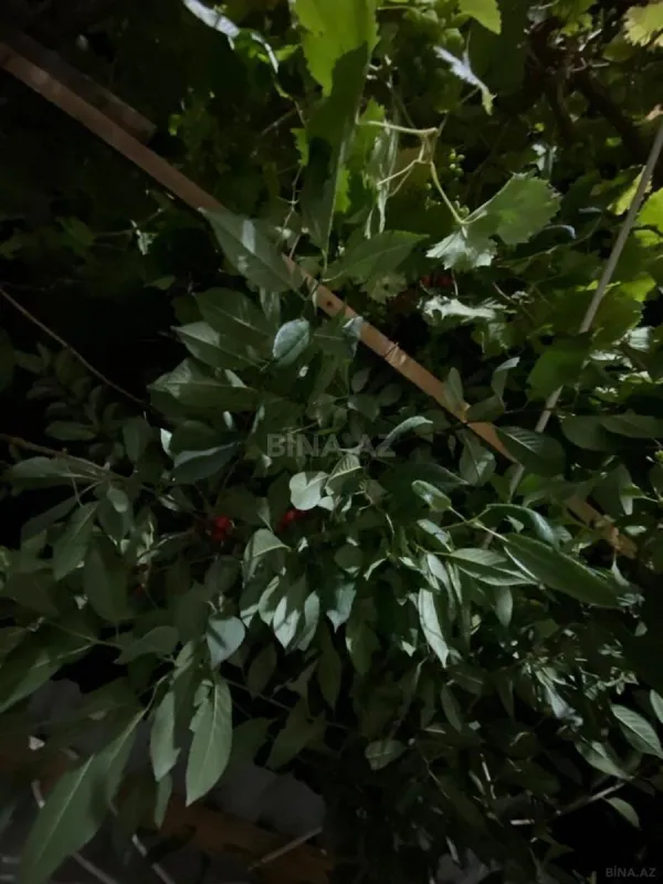 Satılır 3 otaqlı həyət evi 90 m²