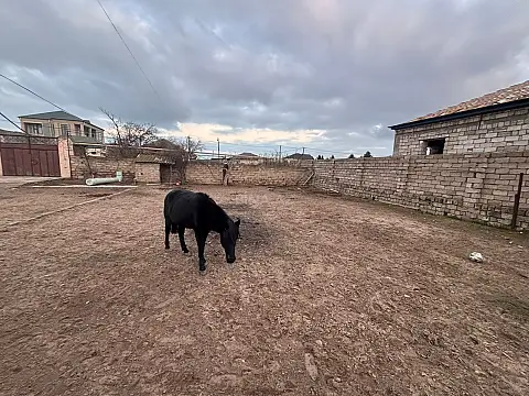 Satılır torpaq sahəsi 14 m²