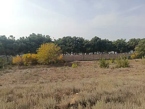 Satılır torpaq sahəsi 28 m² — Bakı, Saray 28.00 m²