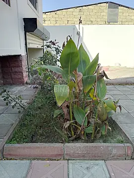 Satılır 4 otaqlı həyət evi 180 m²