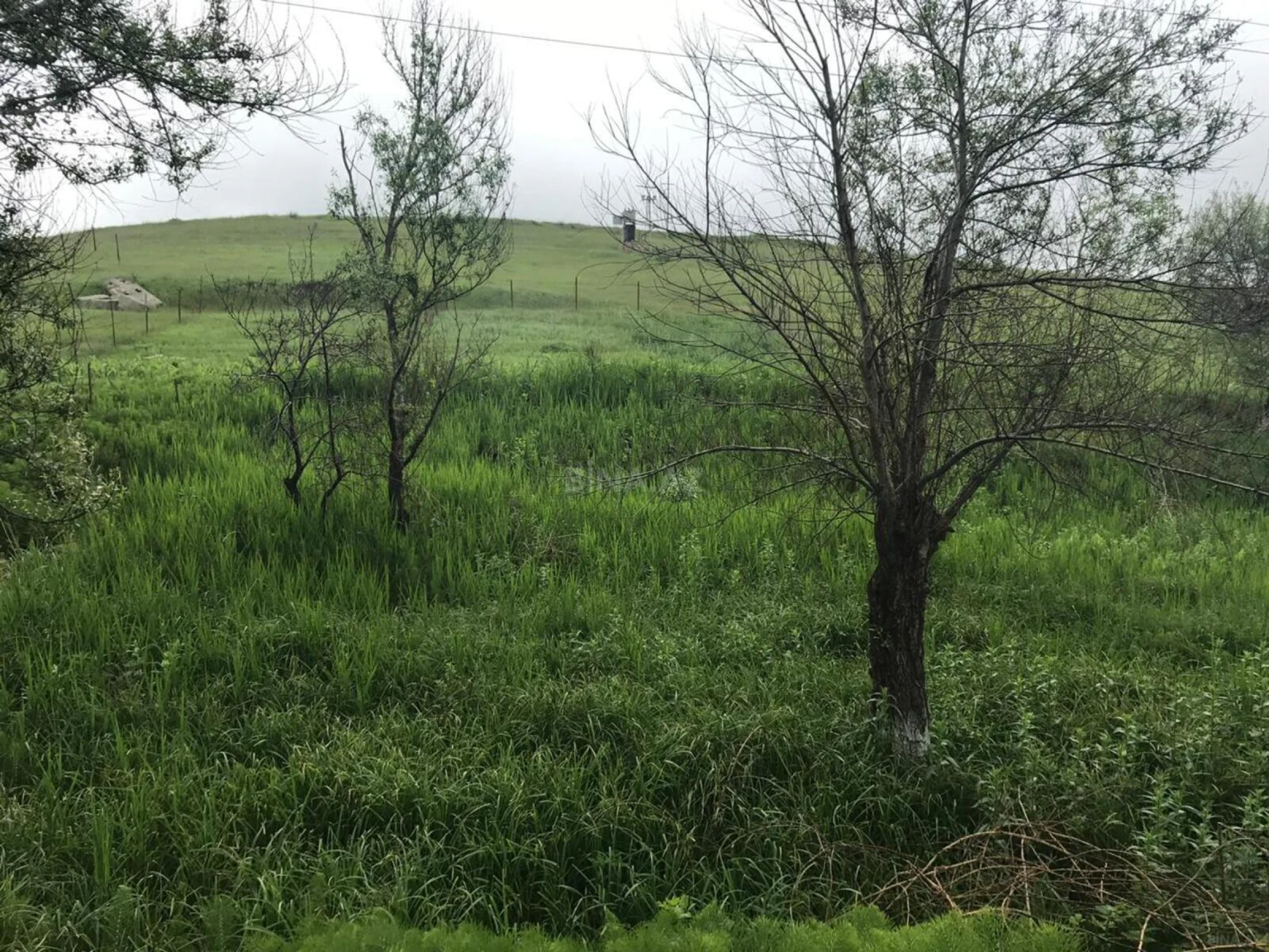 Satılır torpaq sahəsi 35 m²