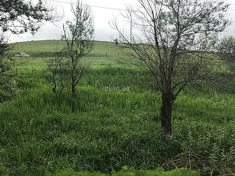 Satılır torpaq sahəsi 35 m² — Şamaxı 35.00 m²