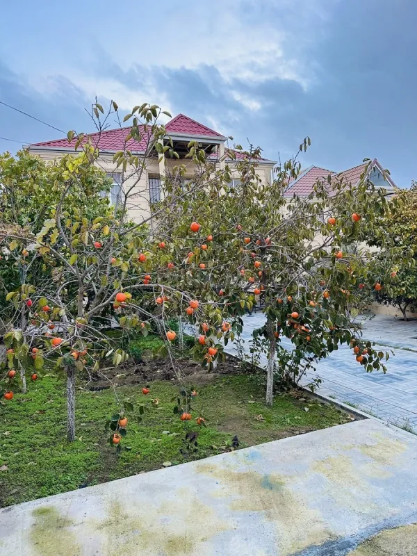 Satılır 6 otaqlı həyət evi 200 m²