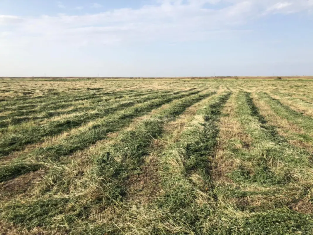 Satılır torpaq sahəsi 40000 m²