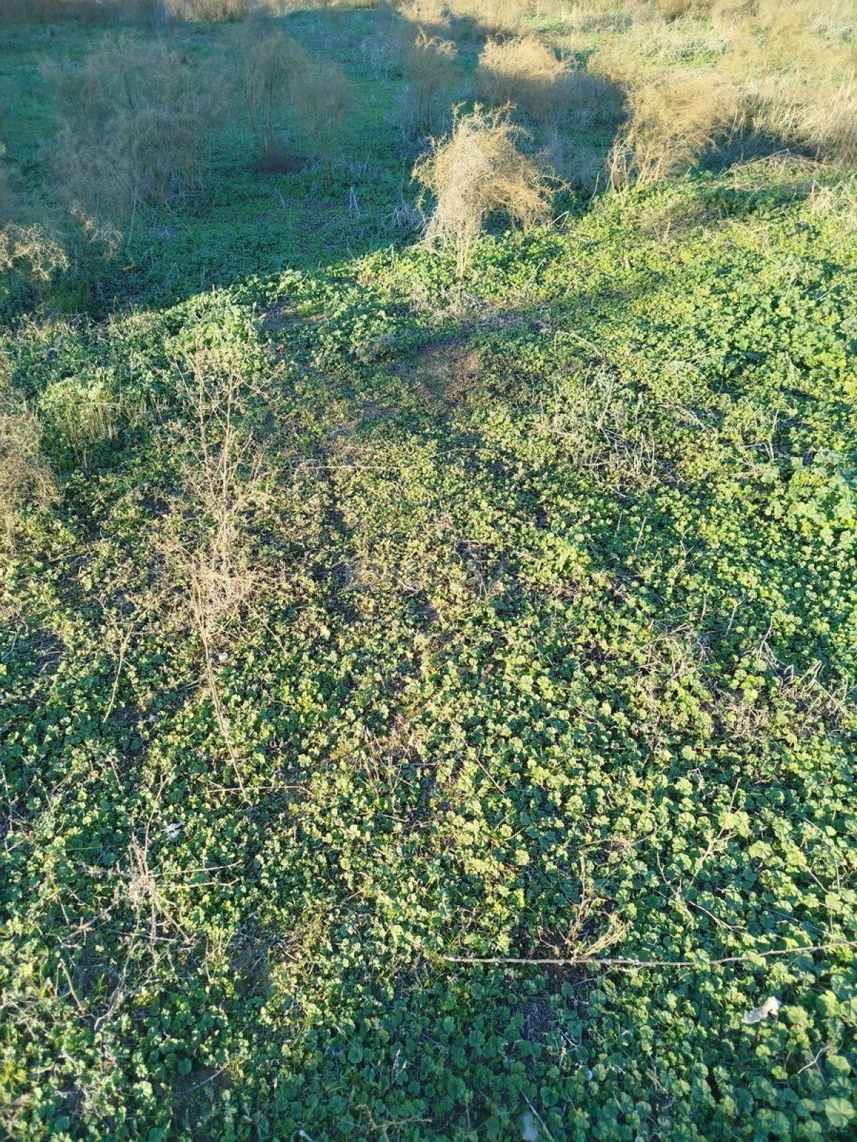 Satılır torpaq sahəsi 12 m²