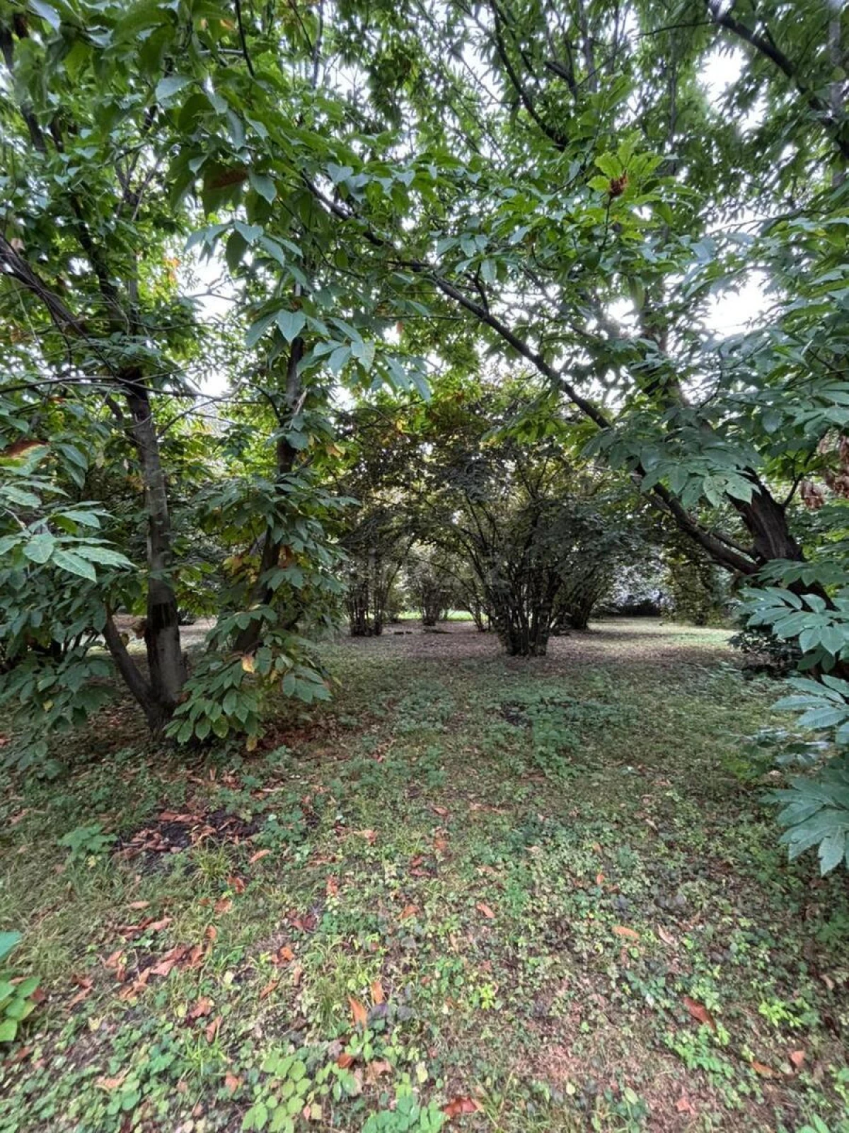 Satılır torpaq sahəsi 30 m²