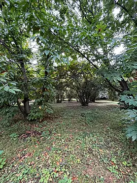 Satılır torpaq sahəsi 30 m²