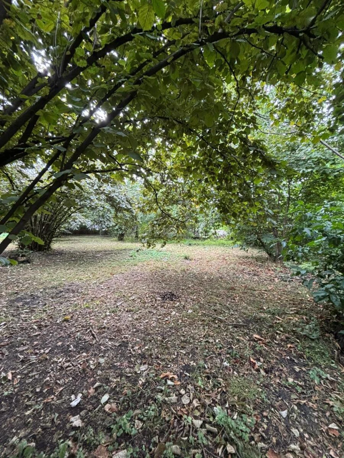 Satılır torpaq sahəsi 30 m²