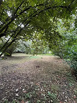 Satılır torpaq sahəsi 30 m²