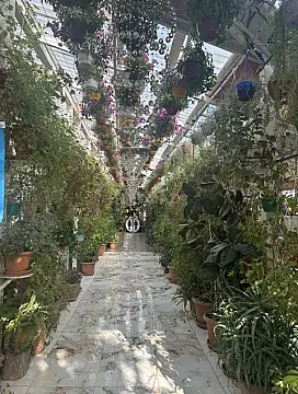 Kirayə verilir obyekt 1700 m²