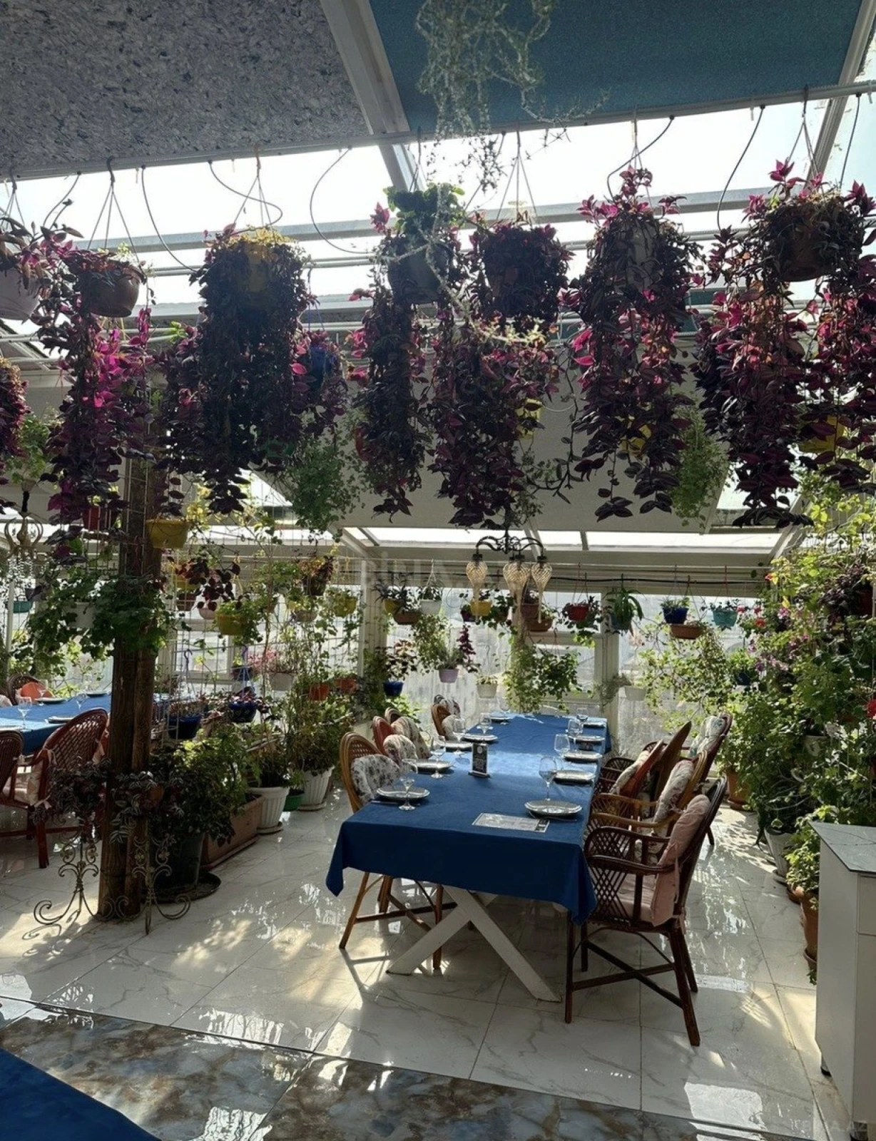 Kirayə verilir obyekt 1700 m²