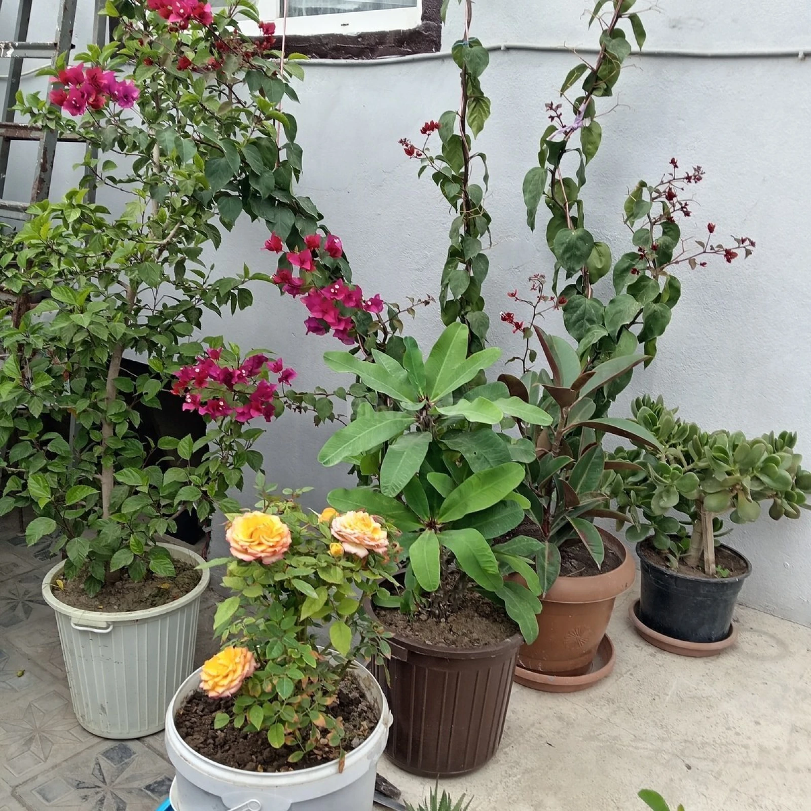 Satılır 4 otaqlı həyət evi 105 m²