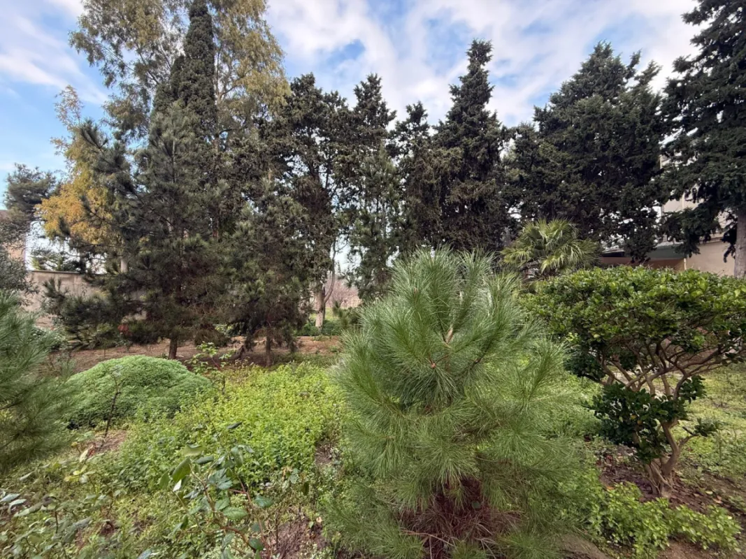 Satılır torpaq sahəsi 24 m²