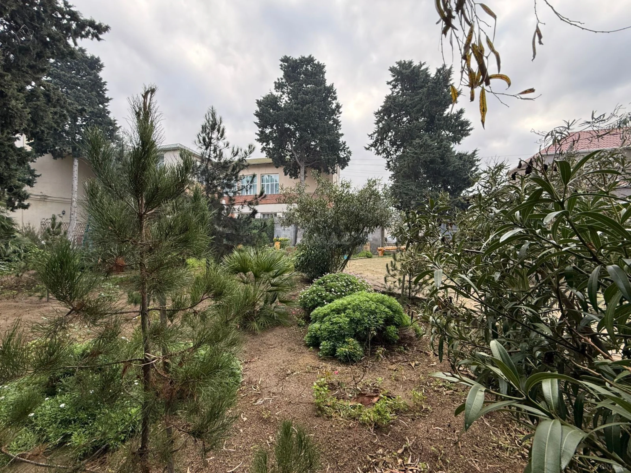 Satılır torpaq sahəsi 24 m²