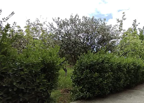 Satılır torpaq sahəsi 3.5 m²