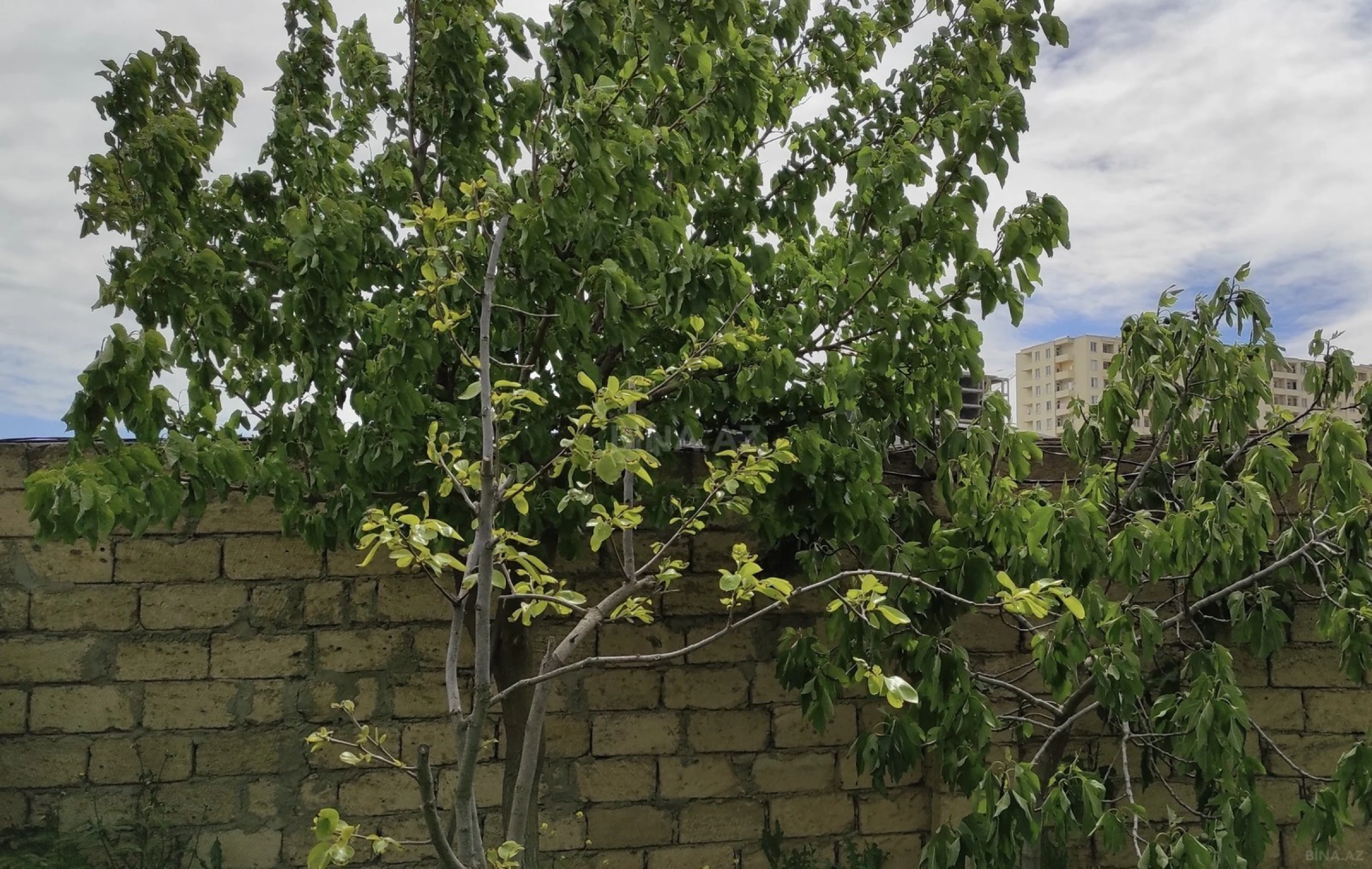 Satılır torpaq sahəsi 3.5 m²