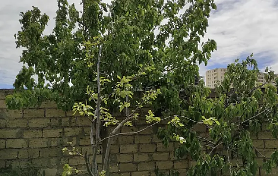 Satılır torpaq sahəsi 3.5 m²