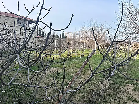 Satılır torpaq sahəsi 2 m²