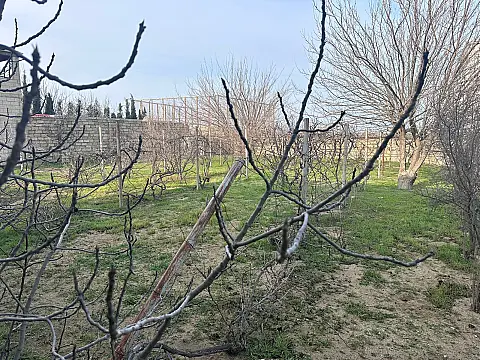 Satılır torpaq sahəsi 3 m²