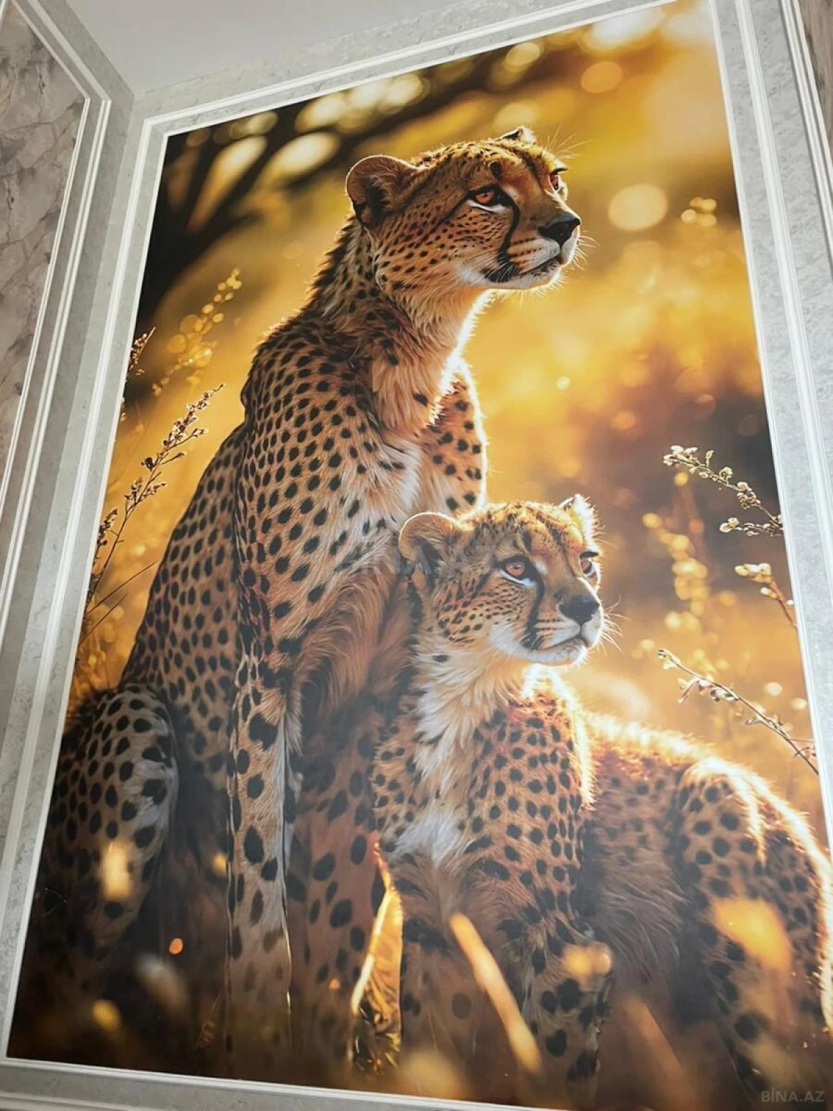 Kirayə verilir 4 otaqlı həyət evi 300 m²