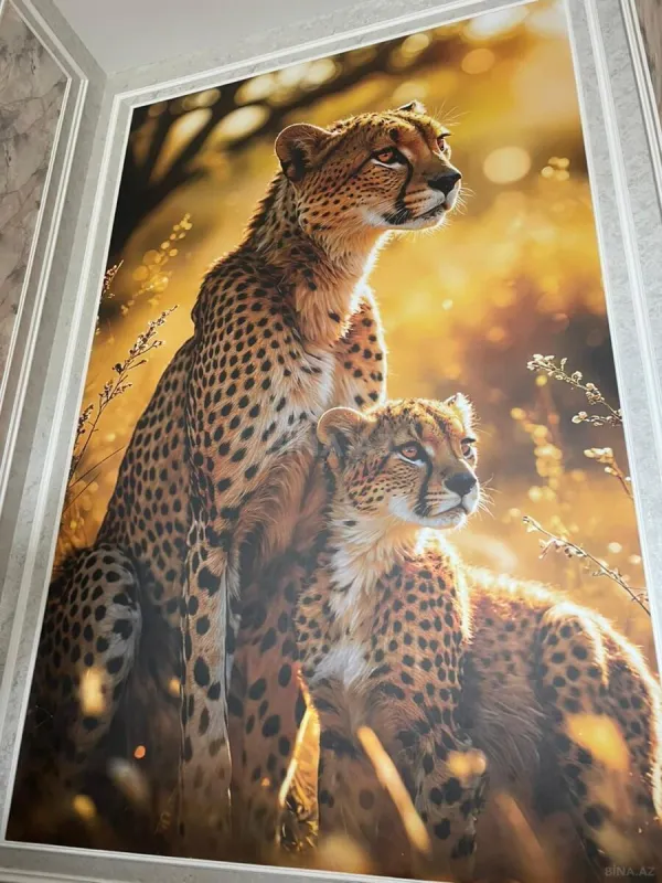 Kirayə verilir 4 otaqlı həyət evi 300 m²