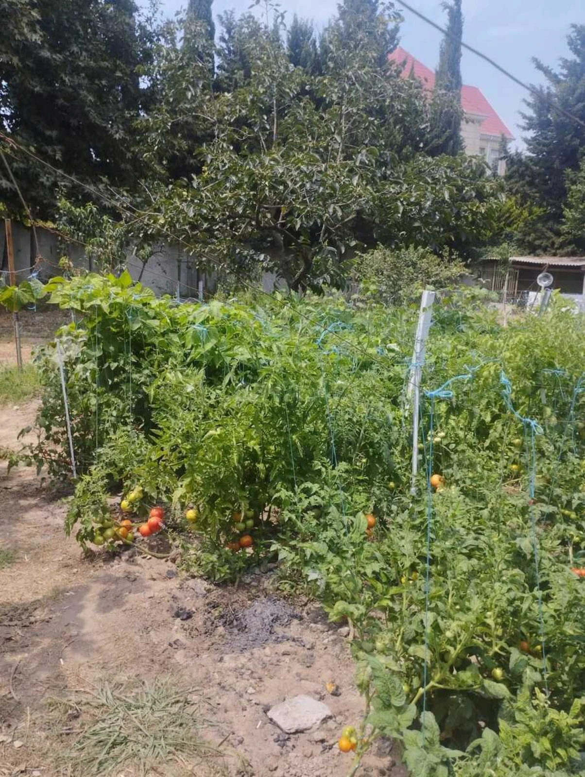 Satılır 8 otaqlı həyət evi 890 m²