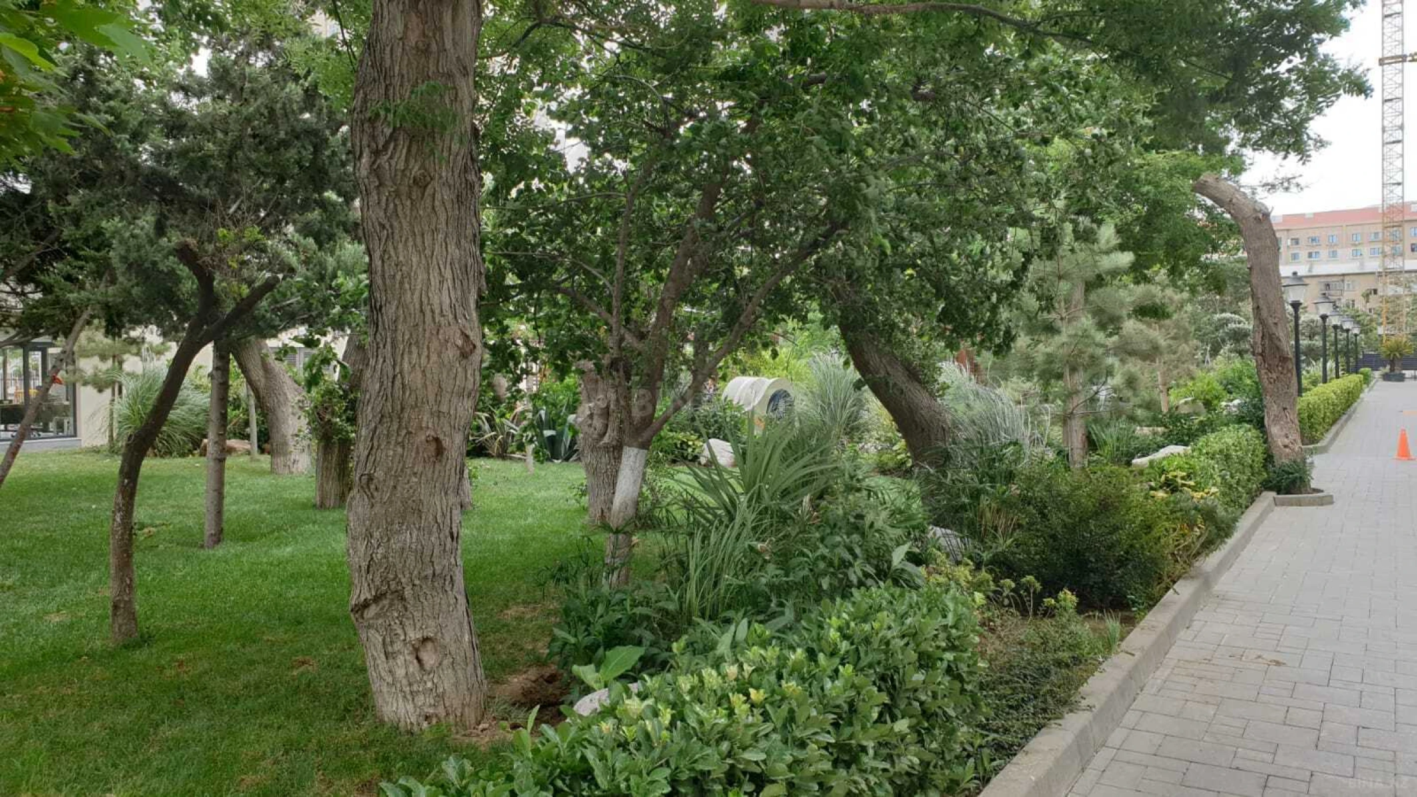 Satılır 2 otaqlı mənzil 66 m²