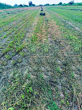 Satılır torpaq sahəsi 200 m²