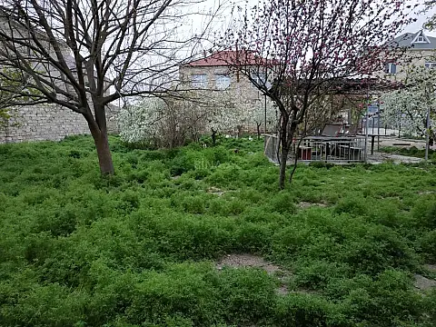 Satılır torpaq sahəsi 15.5 m² — Bakı, Əhmədli 15.50 m²