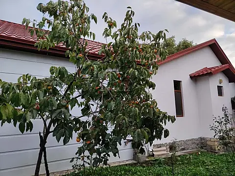 Kirayə verilir 4 otaqlı həyət evi 255 m²