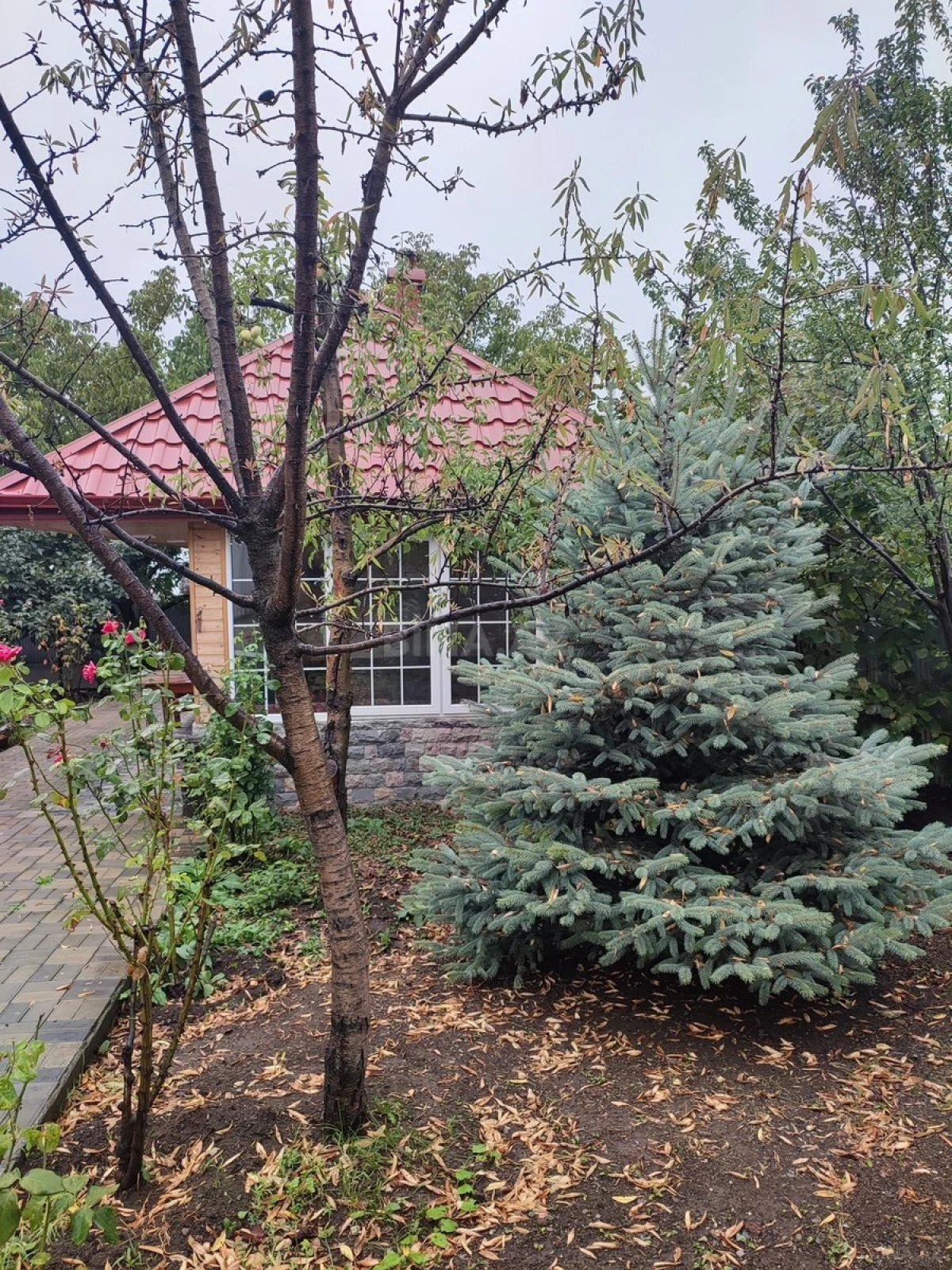 Kirayə verilir 4 otaqlı həyət evi 255 m²
