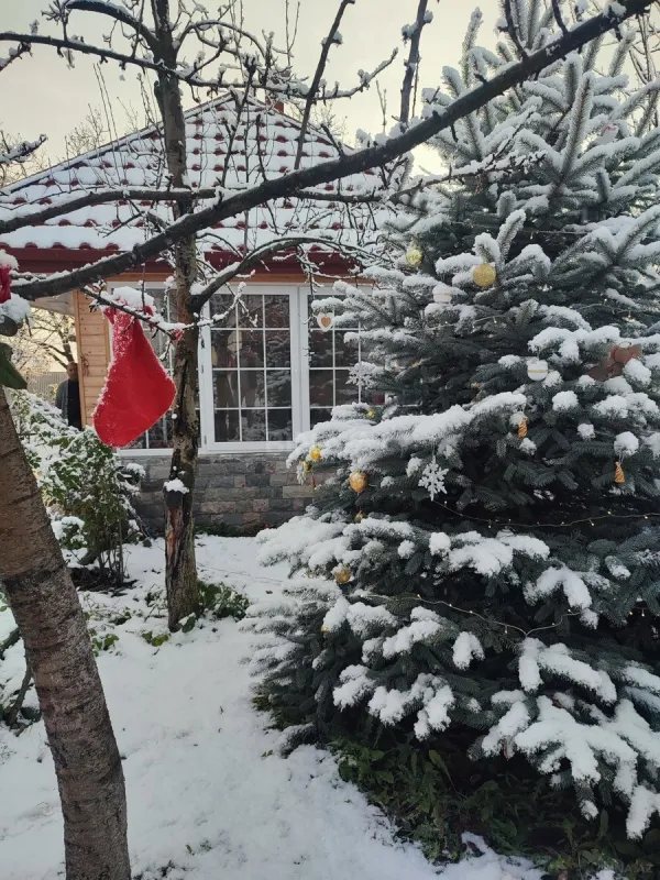 Kirayə verilir 4 otaqlı həyət evi 255 m²