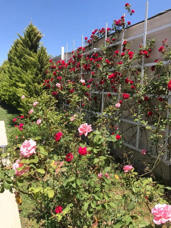 Satılır 5 otaqlı həyət evi 520 m²