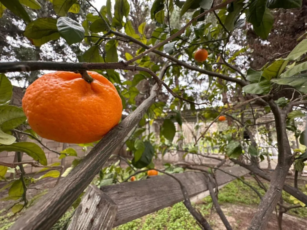 Satılır 10 otaqlı həyət evi 500 m²