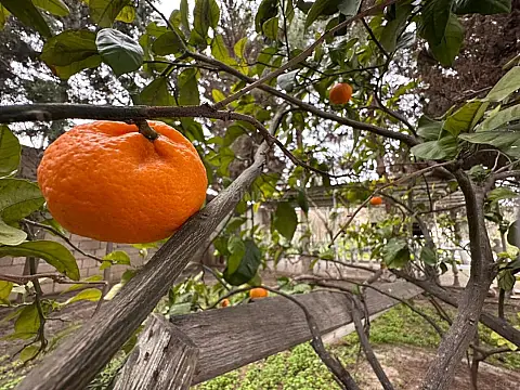 Satılır 10 otaqlı həyət evi 500 m²