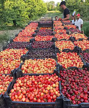 Satılır torpaq sahəsi 2000 m²