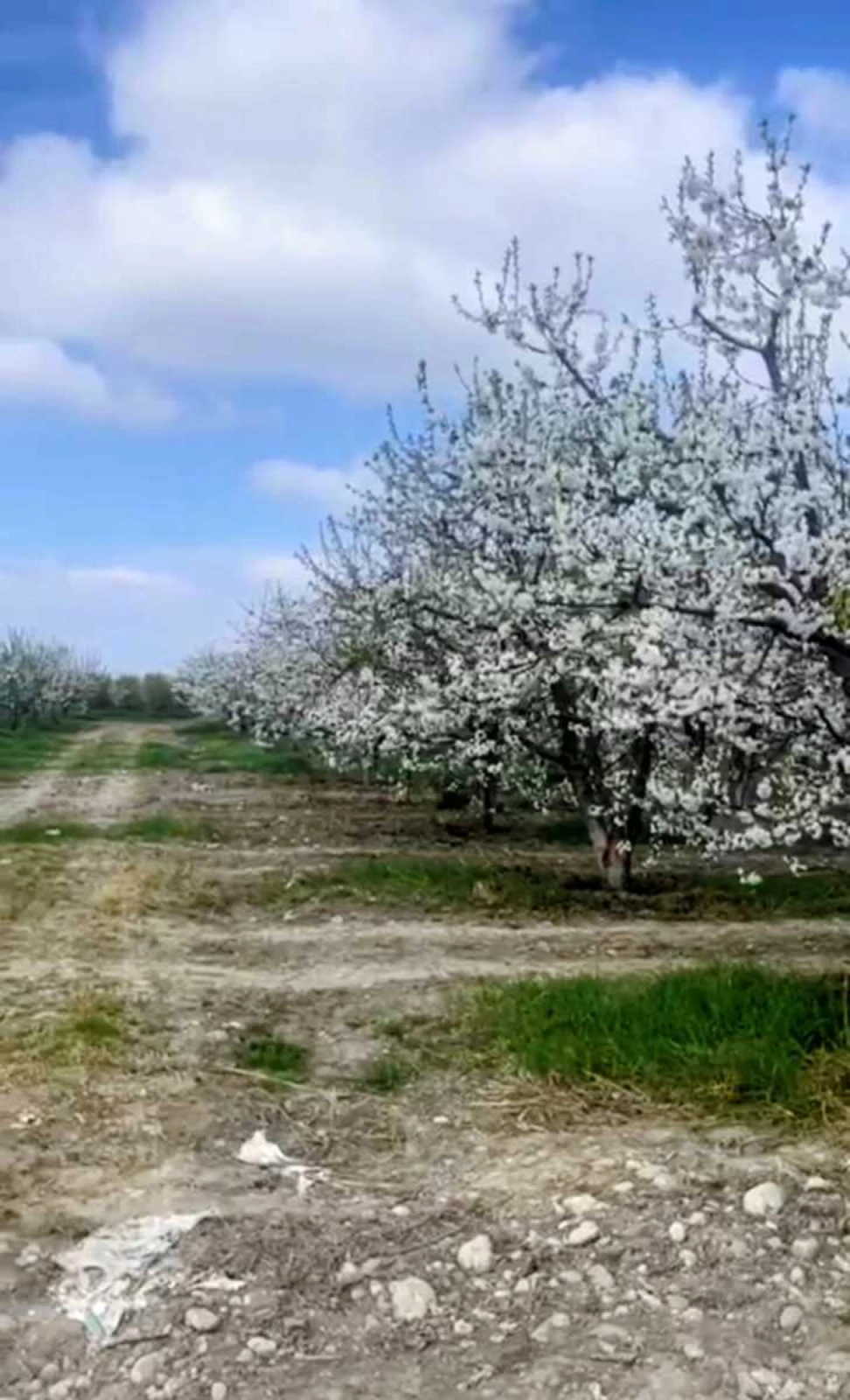 Satılır torpaq sahəsi 2000 m²