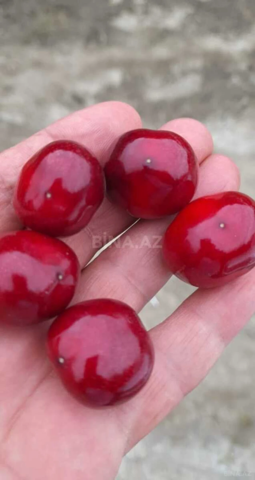 Satılır torpaq sahəsi 2000 m²