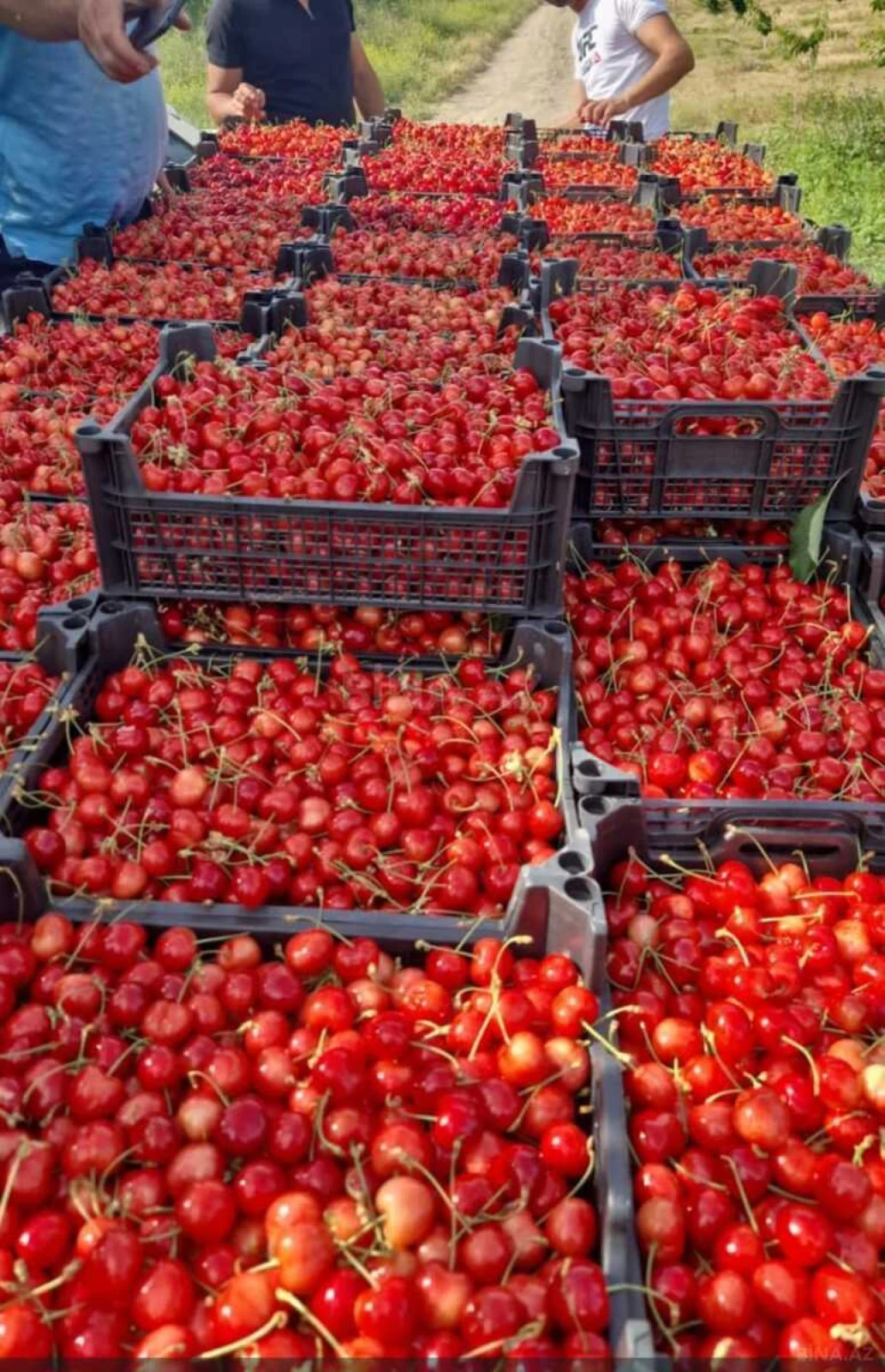 Satılır torpaq sahəsi 2000 m²