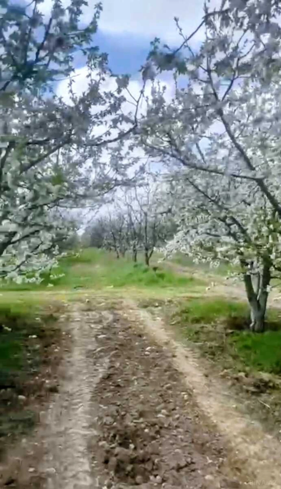 Satılır torpaq sahəsi 2000 m²