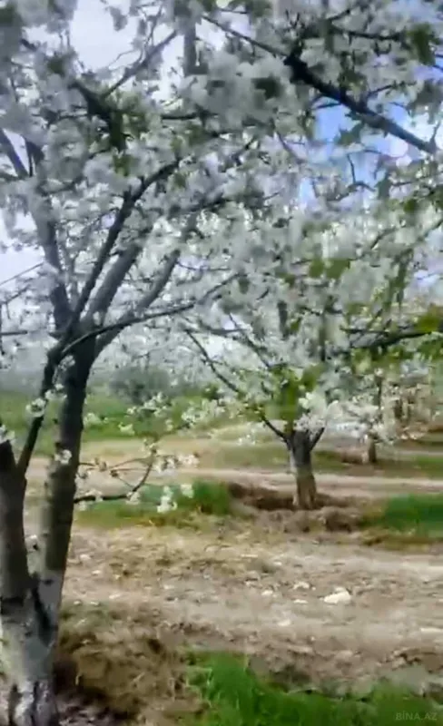 Satılır torpaq sahəsi 2000 m²