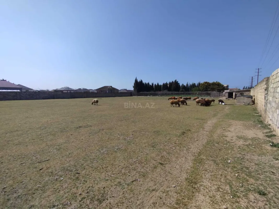 Satılır torpaq sahəsi 43 m²