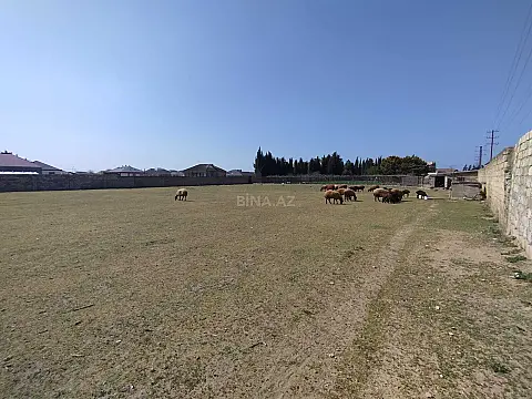 Satılır torpaq sahəsi 43 m²