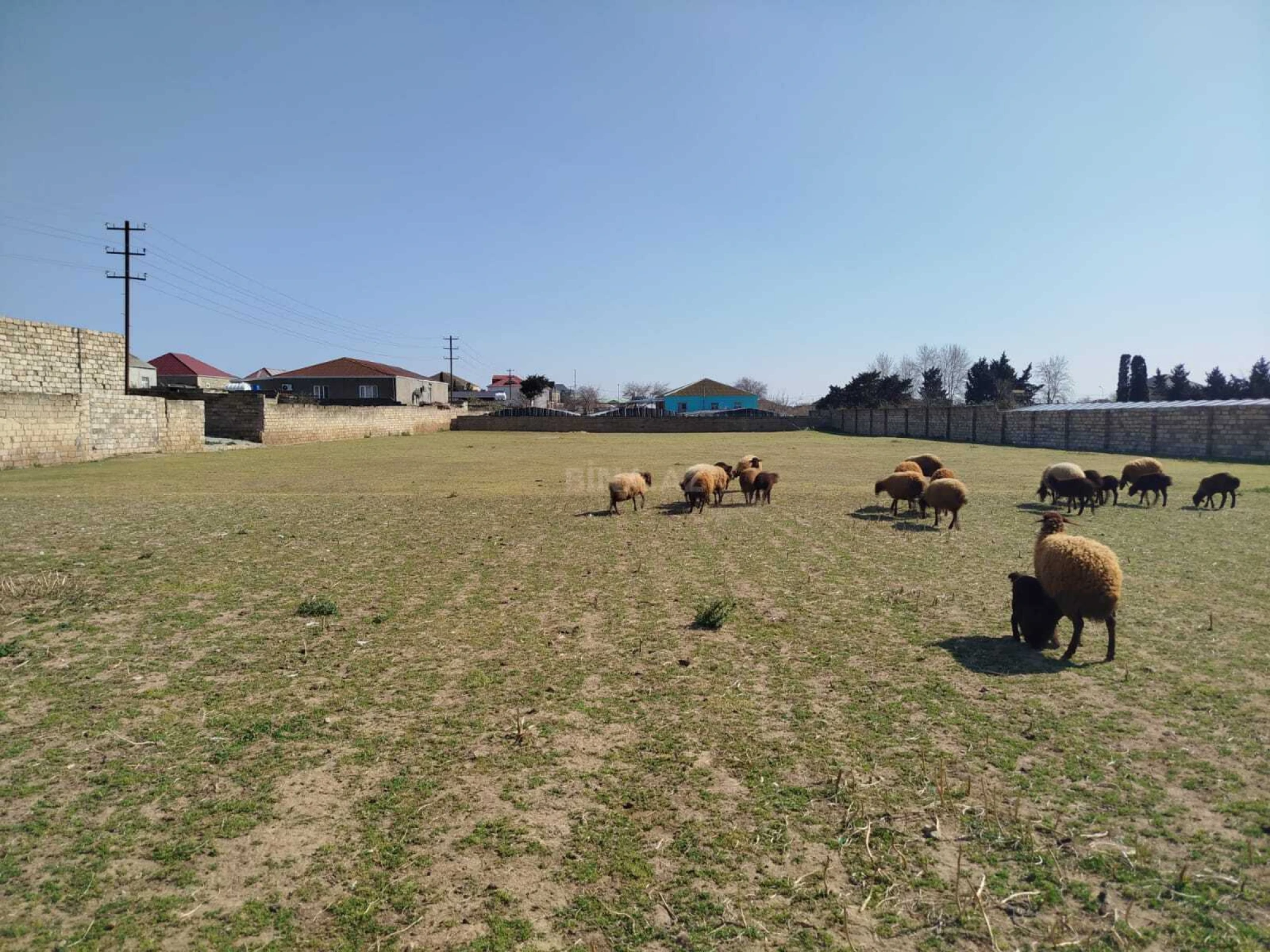 Satılır torpaq sahəsi 43 m²