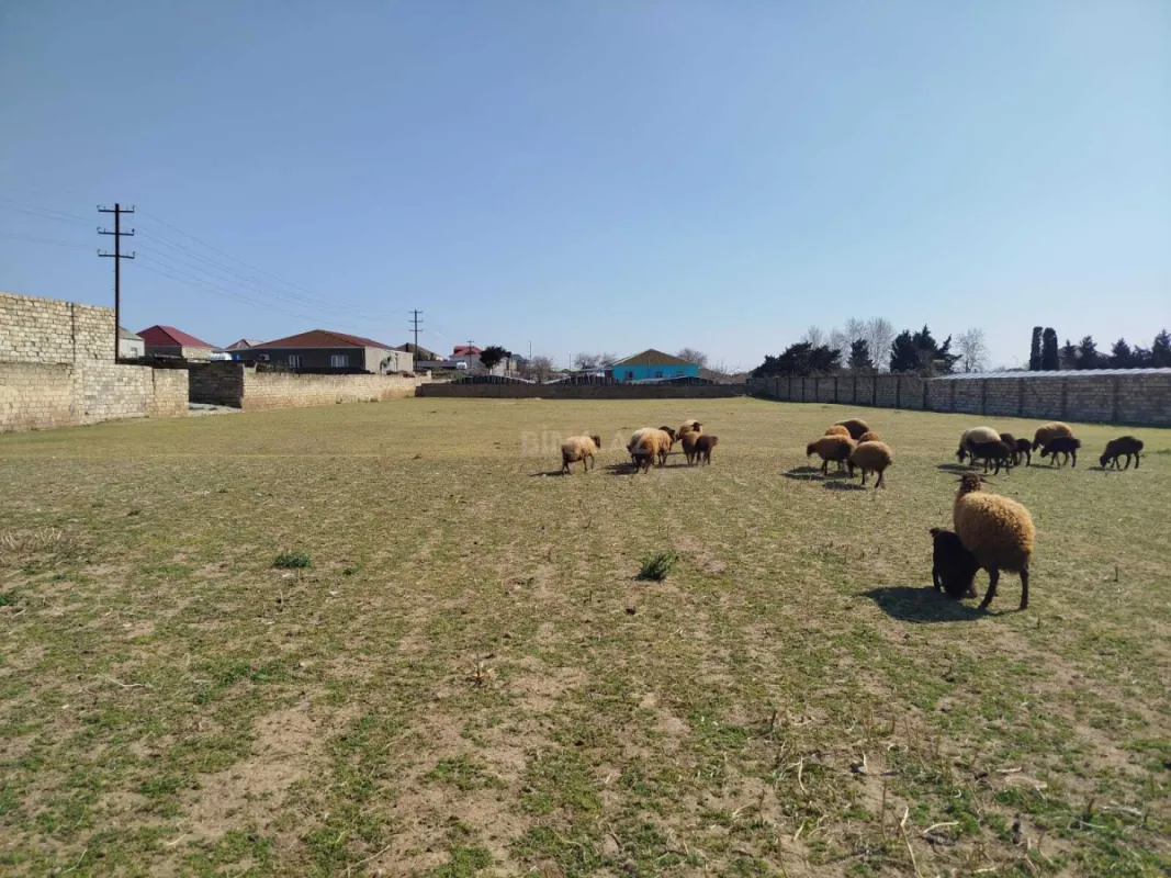 Satılır torpaq sahəsi 43 m²