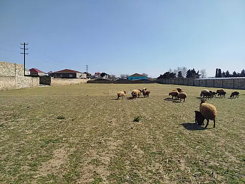 Satılır torpaq sahəsi 43 m²