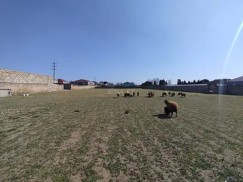 Satılır torpaq sahəsi 43 m²