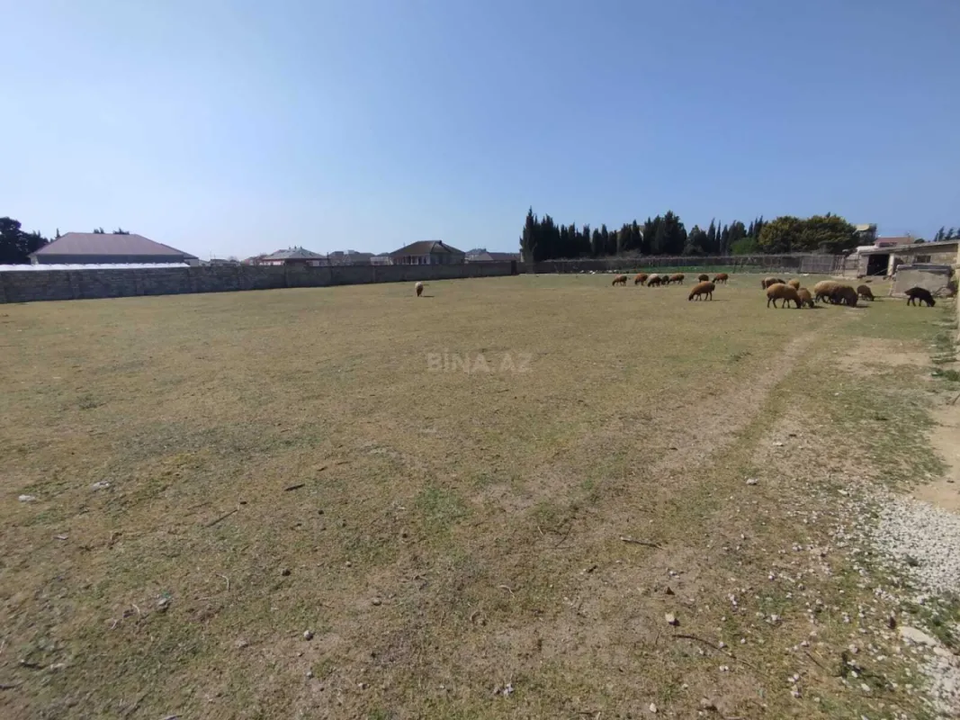Satılır torpaq sahəsi 43 m²