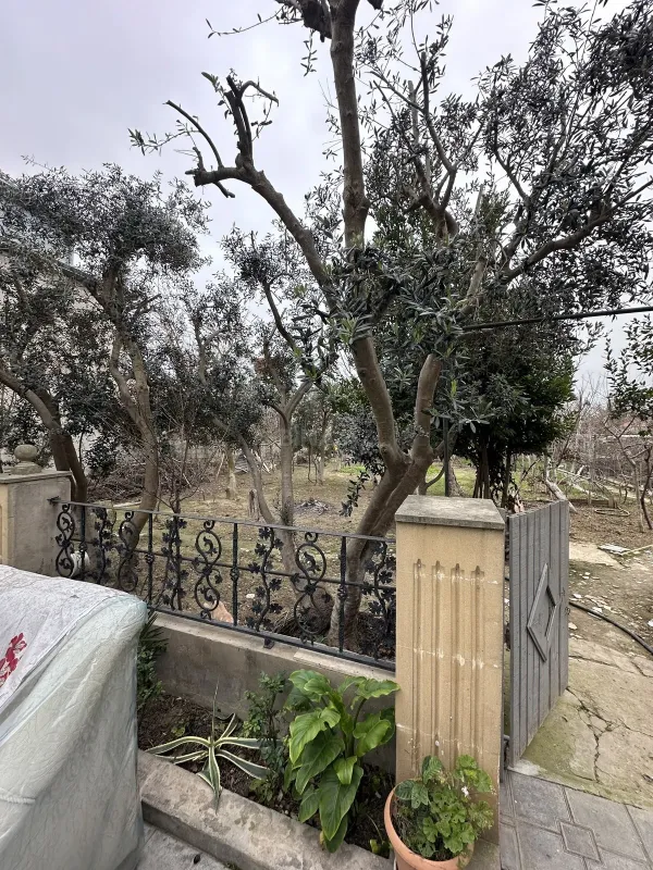 Satılır torpaq sahəsi 5 m²