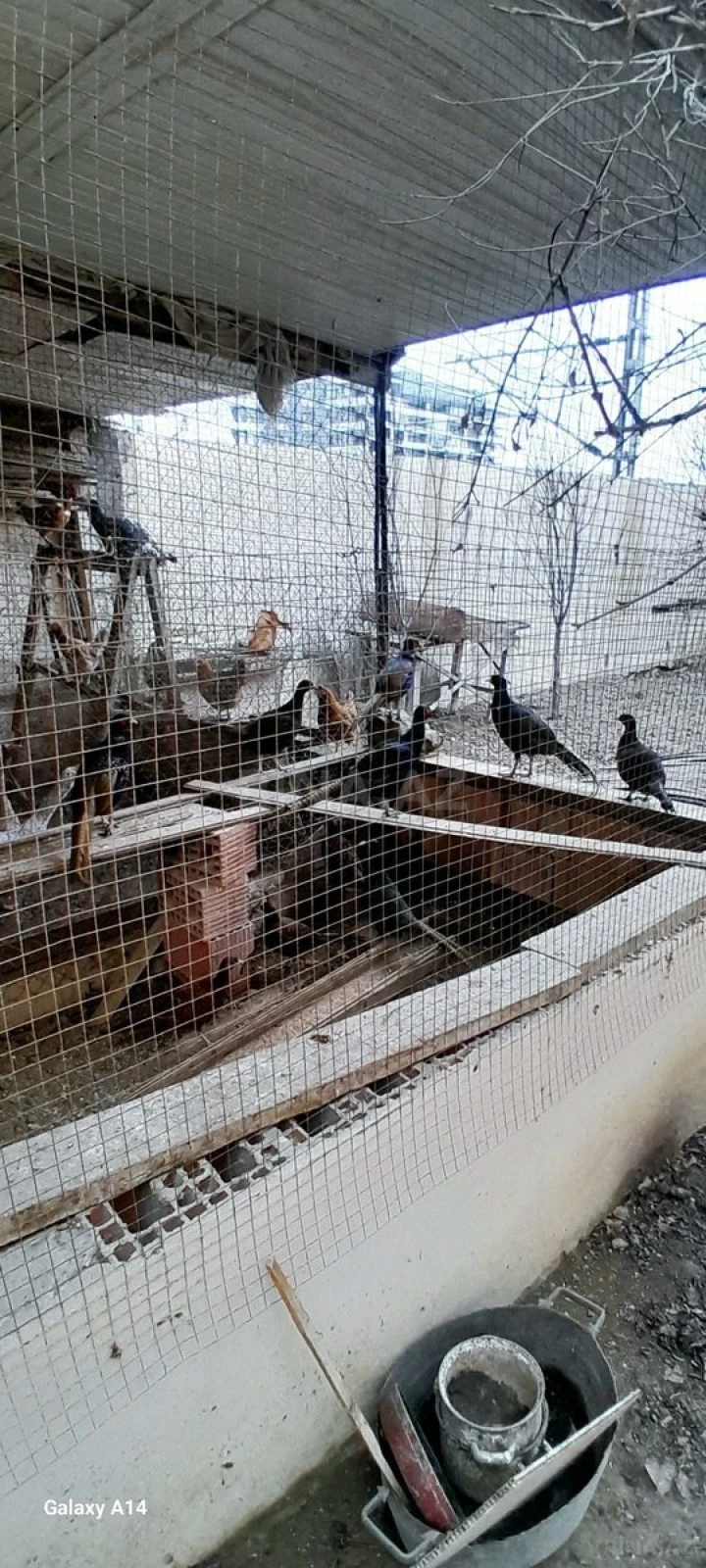 Satılır 8 otaqlı həyət evi 288 m²